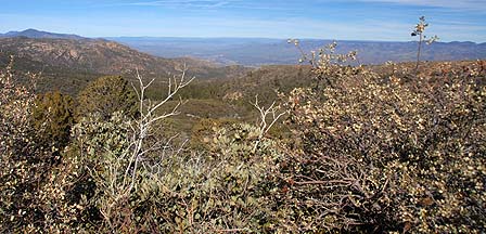 Tonto Basin, January 13, 2011